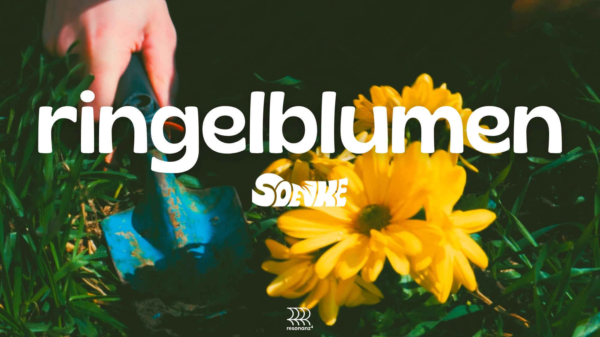 Musikvideo zu SOENKE „ringelblumen“ in Zusammenarbeit mit Paul Thewis und resonanz:vier, Mai 2026